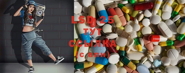 прущие грибы Алзамай