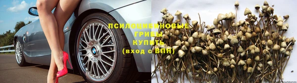прущие крисы Алексеевка