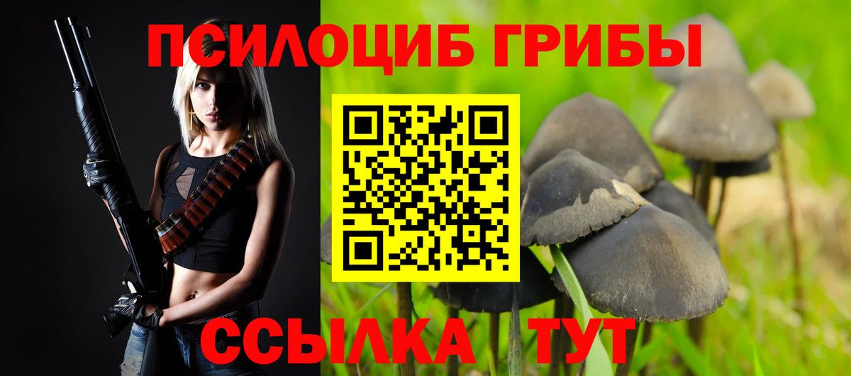Нарьян-Мар  где продают наркотики  Вход с VPN  Псилоцибиновые грибы мицелий 